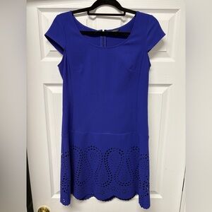 Ann Taylor Royal Blue Dress